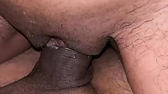 Xxx Asian Goose